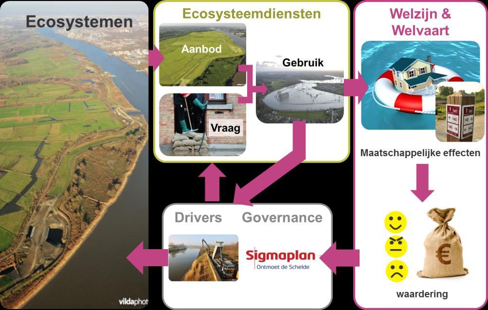 Biodiversiteit Het gebruik van ESD