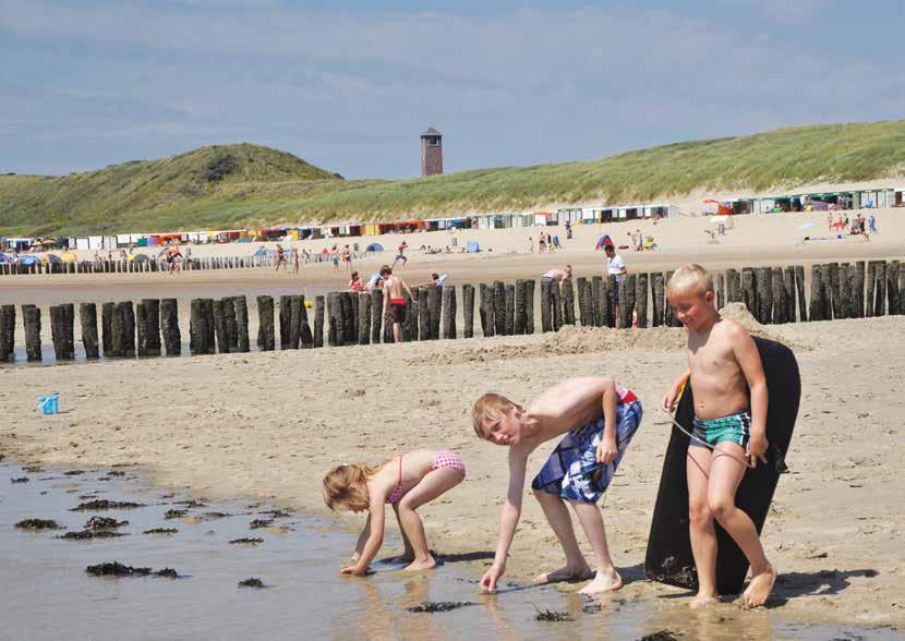 Zuidstranden en brede duinen Zoutelande Op het zuidelijke deel van Walcheren aan de Noordzee