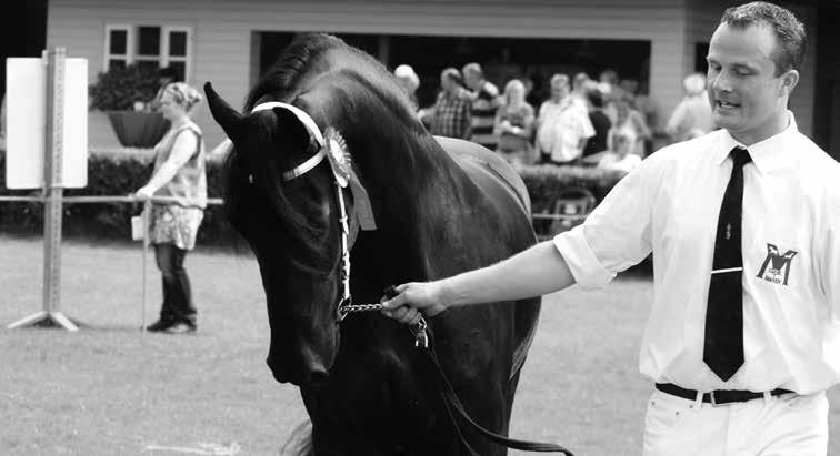 Rubriek 12 Premiekeuring van 3 jaar en oudere veulenboekruinen voor opname stamboek en eventueel sterverklaring Aanvang: 11.20-11.40 uur Baan 3 LET OP: Alle paarden van deze groep moeten om 11.