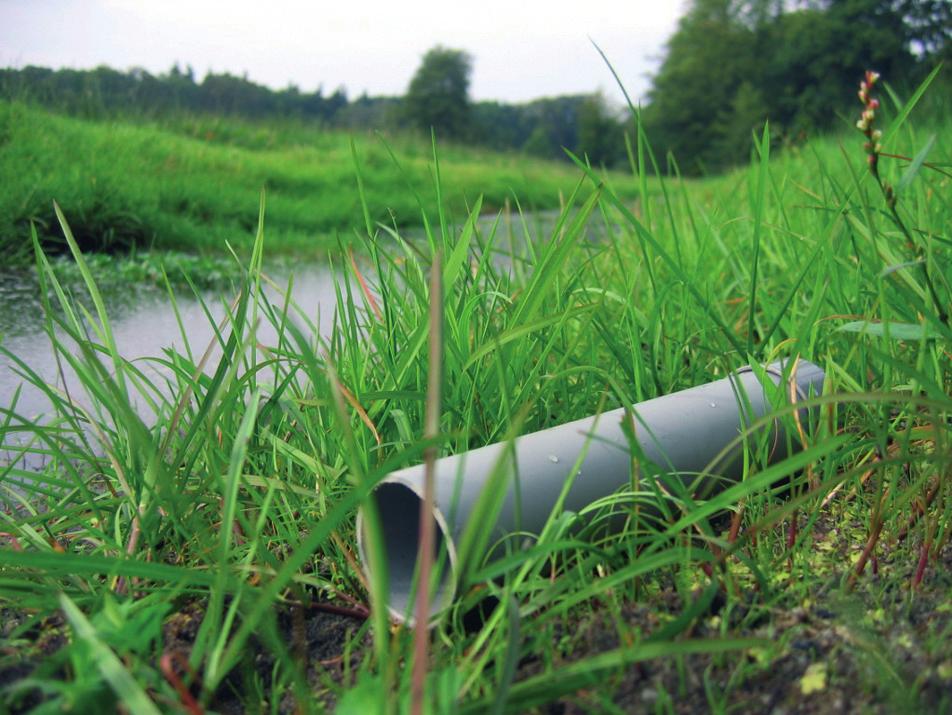 Lokbuizen De lokbuismethode gaat uit van het unieke dieet van de waterspitsmuis.