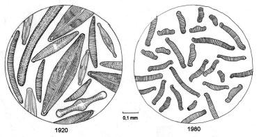 Uit de soortensamenstelling werd de ph berekend volgens Ter Braak & Van Dam (1989) en ecologische spectra volgens Van Dam & Arts (1993).