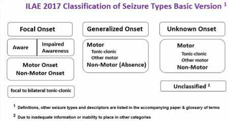 INTERNATIONAAL NIEUWS Herwerkte CLASSIFICATIE VAN EPILEPSIE-AANVALSTYPES Versie 2017 (vertaling uit 2017 Reviced Classification of Seizures Newsletter Epilepsy Foundation dec.