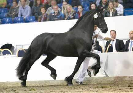met meerdere paarden prominent fan de Slachtedyk (Onne 376 Sport) op Goed fokken is een kunst, goed een vijfde plek. Ondanks haar Sportstatus heeft zij onvoldoende testresul aankopen net zo.