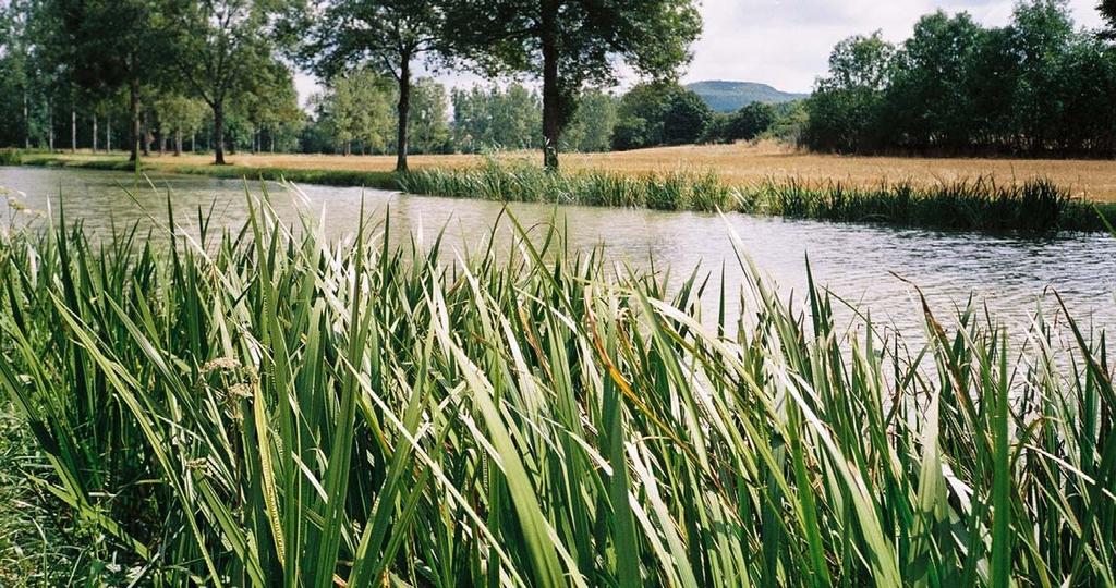 spiegels op het water