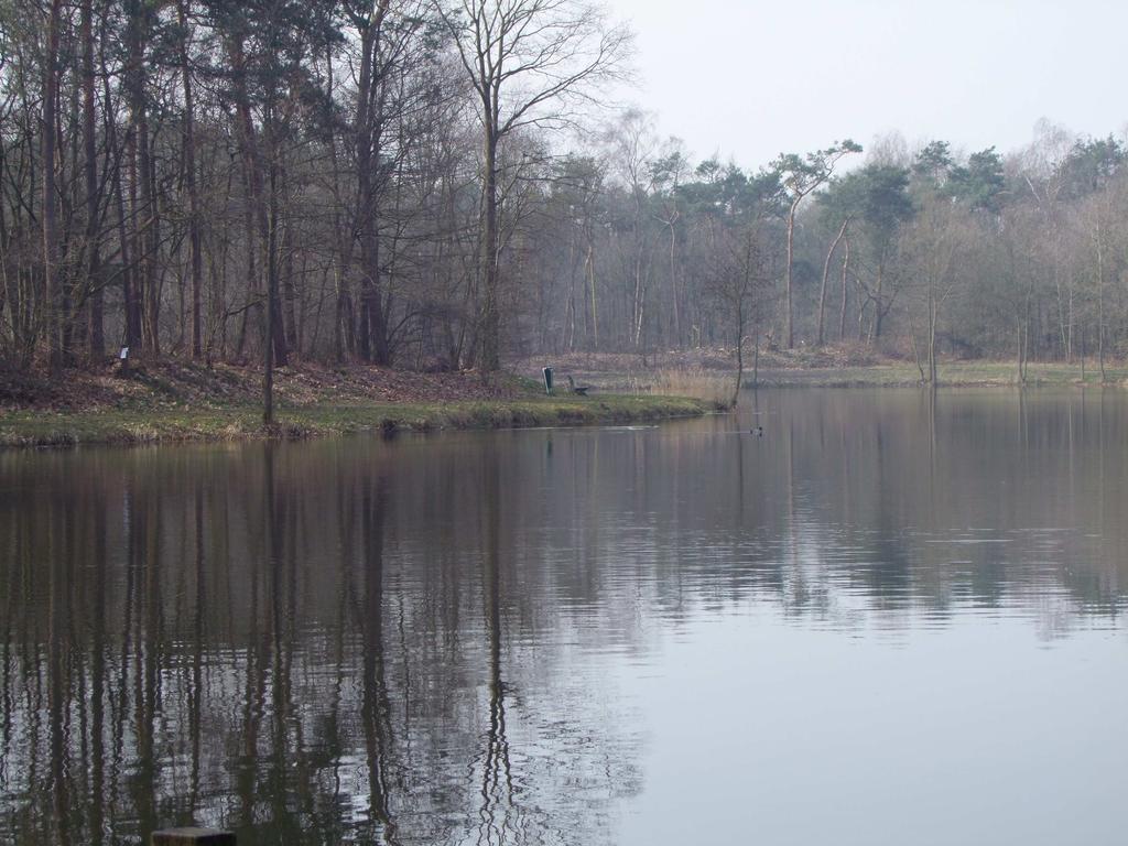 - Meuwel vijver te Heeswijk Dinter - 1.3 Leeswijzer In hoofdstuk 2 wordt het water, de bevissing en het gevoerd beheer beschreven.