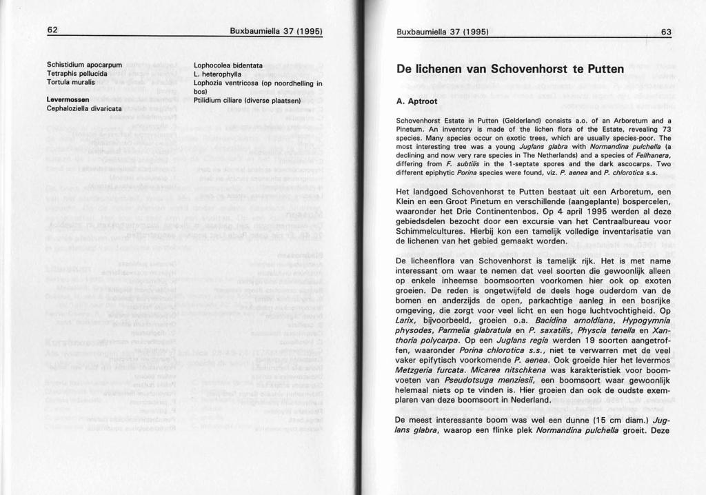 62 Buxbaumiella 37 (1995) Buxbaumiella 37 (1995) 63 Schistidium apocarpum Tetraphis peuucida Tortula muralis Levermossen Cephaloziella divaricata Lophocolea bidentata L.