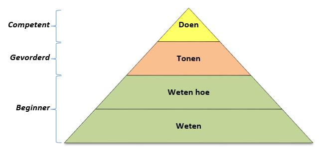 De niveaus zijn gekoppeld aan de piramide van Miller 2 waarin beroepsbekwaamheid in vier lagen worden weergegeven: Beginner - Vakkennis, vakvaardigheid (Weten) en kennis toepassen in theoretisch