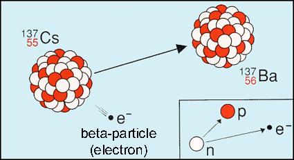 Kernstraling β-straling: Wanneer een atoomkern teveel neutronen bevat, verandert een neutron in een proton en een elektron en wordt het elektron uitgestoten: beta-straling zijn dus elektronen (e - )