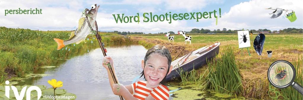 Ontdek de schatten van de sloot IVN organiseert voor de vierde keer de landelijke Slootjesdagen Waterschorpioenen, kokerjuffers of stekelbaarsjes: wat leeft er allemaal bij jou in de sloot?