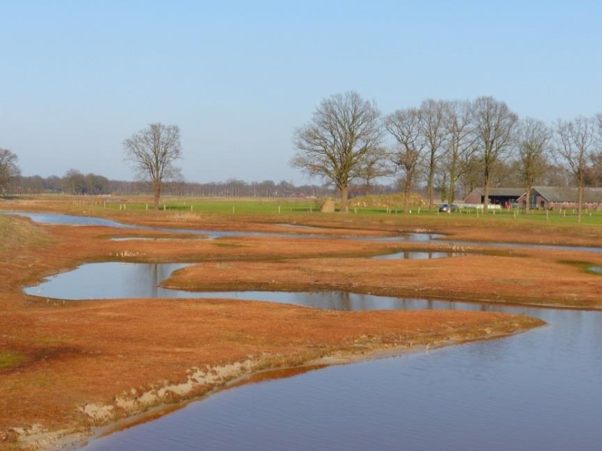 nu bij de Doorbraak,