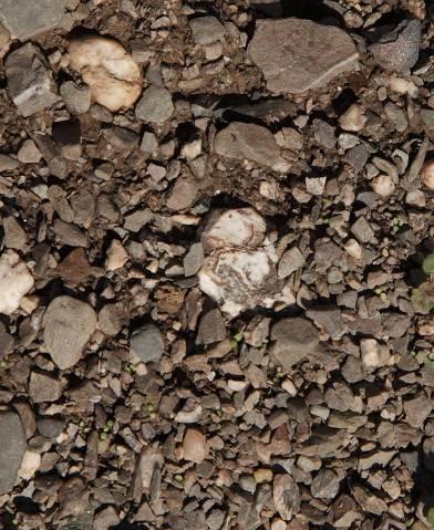 De expositie is eveneens zuidelijk, maar de bodem verschilt volledig met de Felseneck. In deze Felsenberg is de bodem van oorsprong vulkanisch, en bestaat er voornamelijk uit porfier.