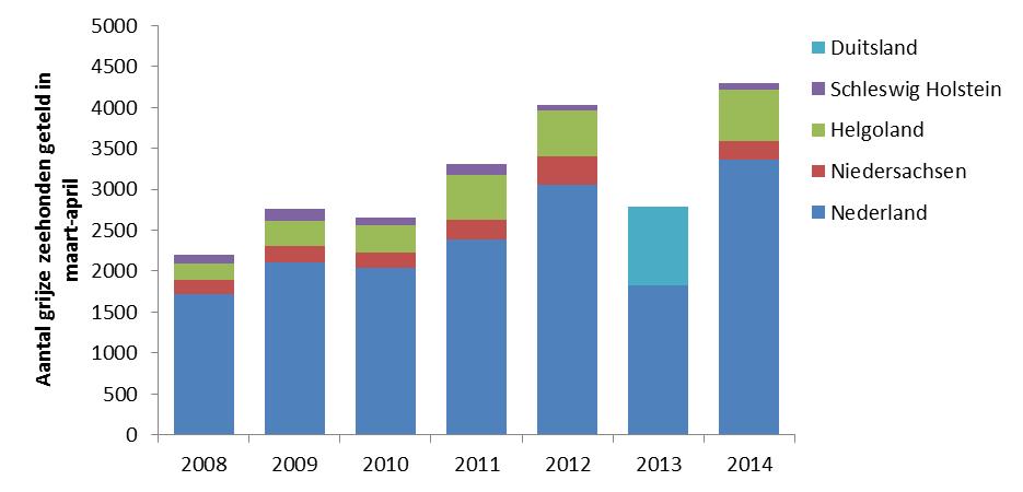 3.2.2.2 Vergelijking met andere gebieden; langetermijnperspectief In Duitsland en Nederland worden door middel van een reguliere monitoring grijze zeehonden geteld, zowel in de verharingsperiode