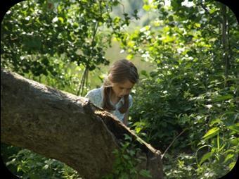 Scharrelkids in de lente Maak je eigen boompaspoort! In het Groenhovenpar k in Gouda is op zondag 13 april weer een natuuractiviteit voor (groot)ouders en kinderen. Dit keer is het thema Bomen.