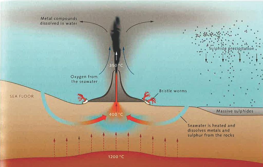 e. Massieve sulfieden * Sulfieden die massieve afzettingen vormen op de zeebodem uitvloeiien warme zwavelhoudende vloeistoffen op de zeebodem * hydrothermal vents :
