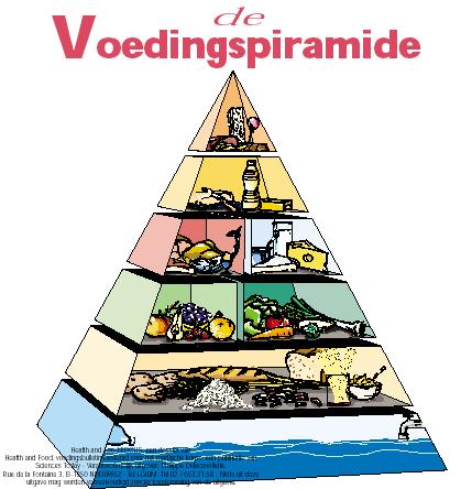 Stap 3: Eiwitrijke, energiebeperkte vaste voeding Na vijf à zes weken kan u geleidelijk overschakelen op een gezonde eiwitrijke, energiebeperkte en vastere voeding.