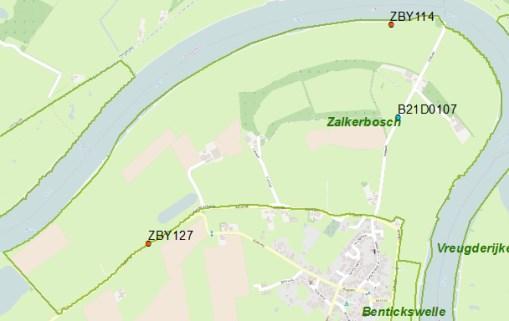 Afbeelding 24 IJsselpeil en gemeten grondwaterstanden in het Zalkerbosch. Afbeelding 24 geeft de gemeten grondwaterstanden en IJsselpeil in het Zalkerbosch.
