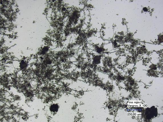 this fraction amounts to 70% of the dry matter of the raw primary sewage sludge.