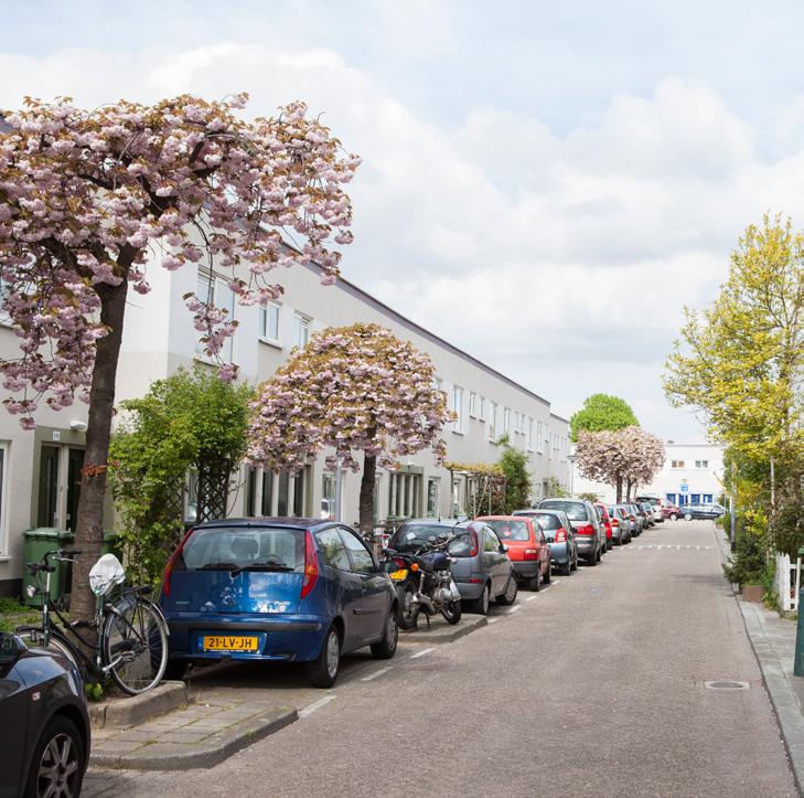 11 Knus wonen in een vertrouwde buurt Rond 2030 is Bloemhof een wijk in transitie. Er is op fysiek gebied werk aan de winkel.