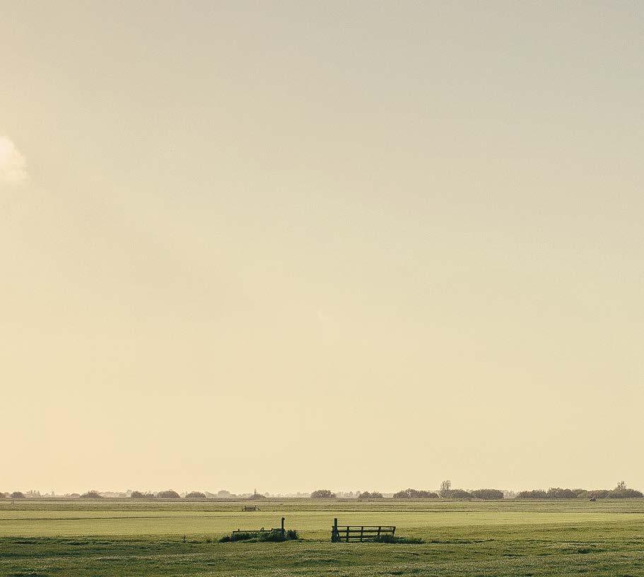 landschapstriënnale SADC, Gemeente Amsterdam en Bedrijventerrein Zevenhuis nodigen beleidsmakers, bestuurders,