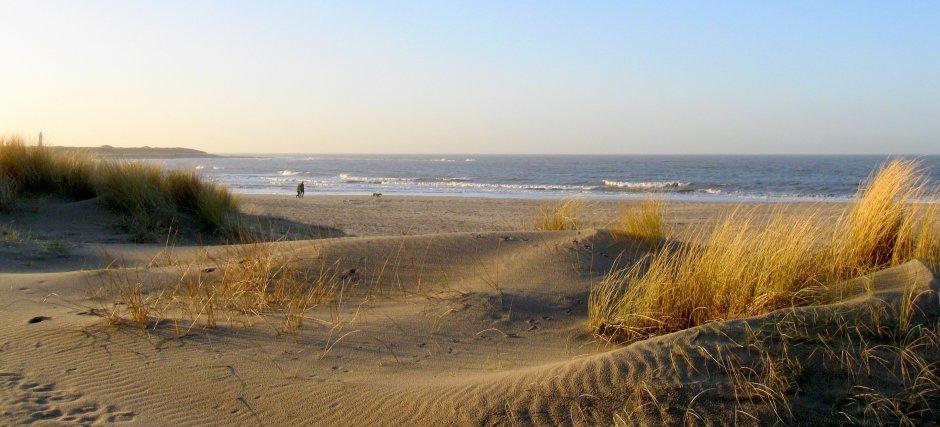 UNIEKE LOCATIE Dutchen gast zoekt rust, veelal kust loca/e, natuur Park Duinweg biedt: Unieke locage op