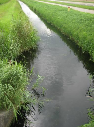 Figuur 60 Stromende sloot met ondergedoken waterplanten in een gebied met kroosdek-gedomineerde sloten. 7.2.2 Verzilting Op de bemonsterde locaties in Noord-Holland was het beeld anders.