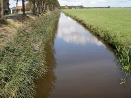 In de enige grote en niet dichtgegroeide waren geen waterplanten aanwezig, het water was troebel met een positief zuurstofgehalte (6 mg/l).