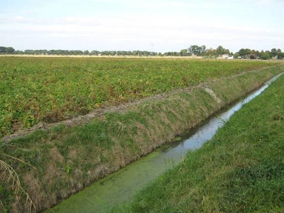 Grondsoort: 70 cm lichte klei op zandig pakket met ijzer.