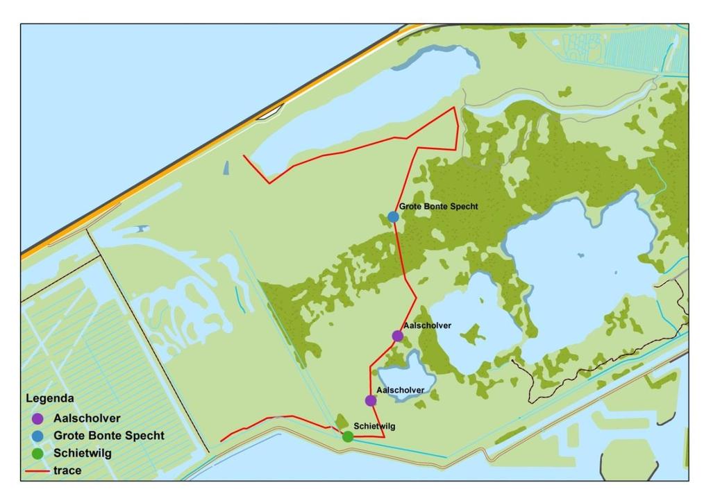 kade raakt nergens bestaande watergangen die de bever gebruikt. Effecten de aanleg op de bever zijn dan ook uitgesloten. Effecten na aanleg van de kade op de bever zijn er ook niet.