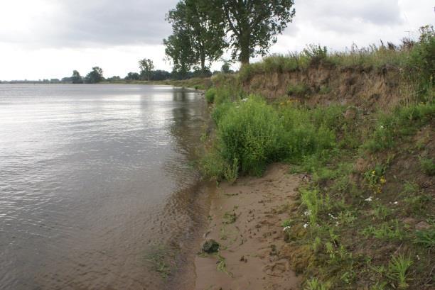 6.6 Keentse oevers (natuurlijke oever na ingreep) De oevers van Keent zijn voor een groot deel recent als natuurgebied in beheer bij het Brabants