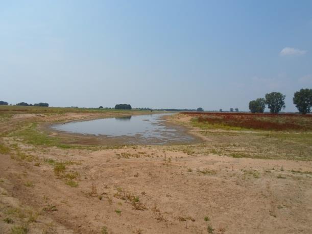 van enige rivierstrandvorming. In 2013 is de nieuwe hoogwatergeul gereed. Deze is benedenstrooms aangetakt. De oever is hier met ca.