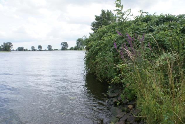 6.7 Maasoever bij Ossekamp (Boveneind) (traditioneel) De oevers van de Ossekamp bestaan uit zware steenzetting en breuksteen.