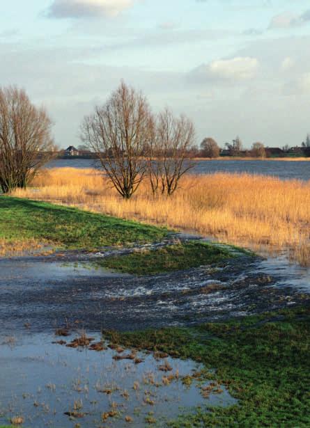 Nederland leeft met Water Nederland is synoniem met water. Eeuwenlang hielden we de zee en de rivieren met dijken en gemalen in toom.