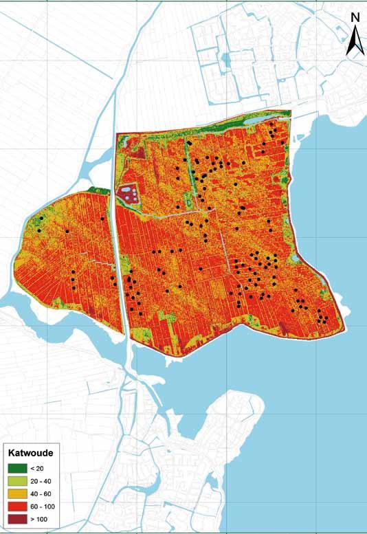 Figuur B1.3 Drooglegging (in cm) in de Polder Katwoude met territoria van grutto s (stippen).