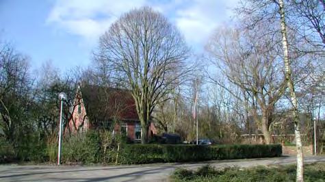 Ruimte De ruimte wordt bepaald door de geheel rond de wierde lopende Ossenweg en de ruime groene percelen die zijn gelegen op de wierde.