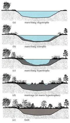 hokjes denken dynamiek,