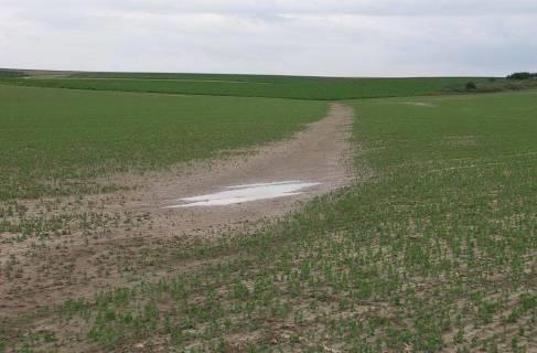 Aanpak bodemerosie Gemeente Stand van zaken Gemeentelijk