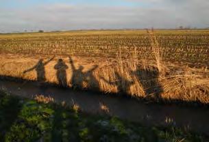 Dagen achter elkaar maakte ik foto s rondom het