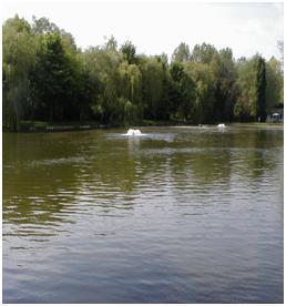 lokaas of van voeder en door de uitwerpselen van zowel vissen als watervogels.