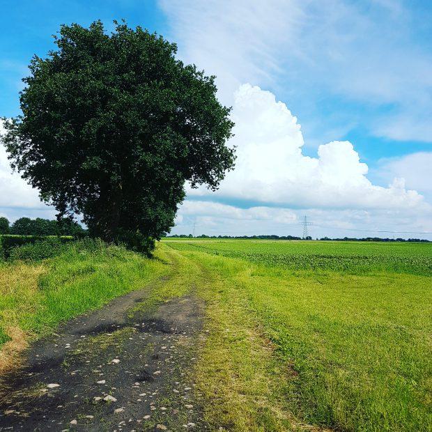 Nog meer wezen wandelen, de natuur is er zo mooi, maar echt genieten kan ik nog niet omdat ik zo druk