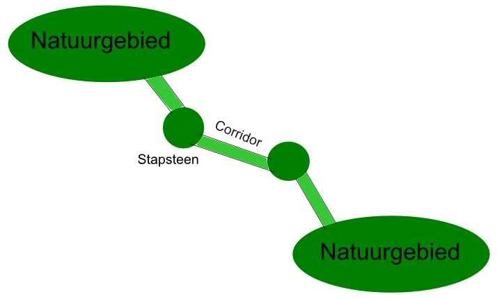 Condities voor plant en dier Planten: Verspreiden Ontkiemen Groei