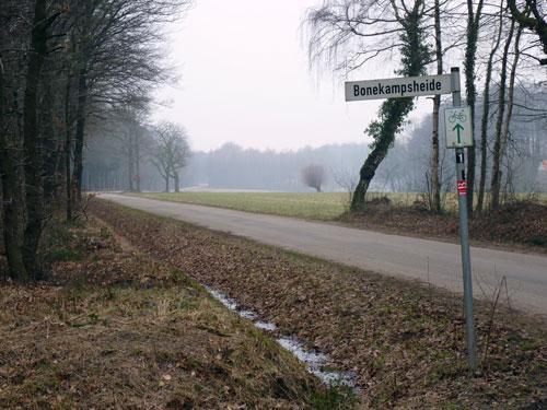 Het gaat dan weer omhoog naar 143 meter, steeds dieper het bos in waarbij we alsmaar het pad blijven volgen en zijwegen negeren.