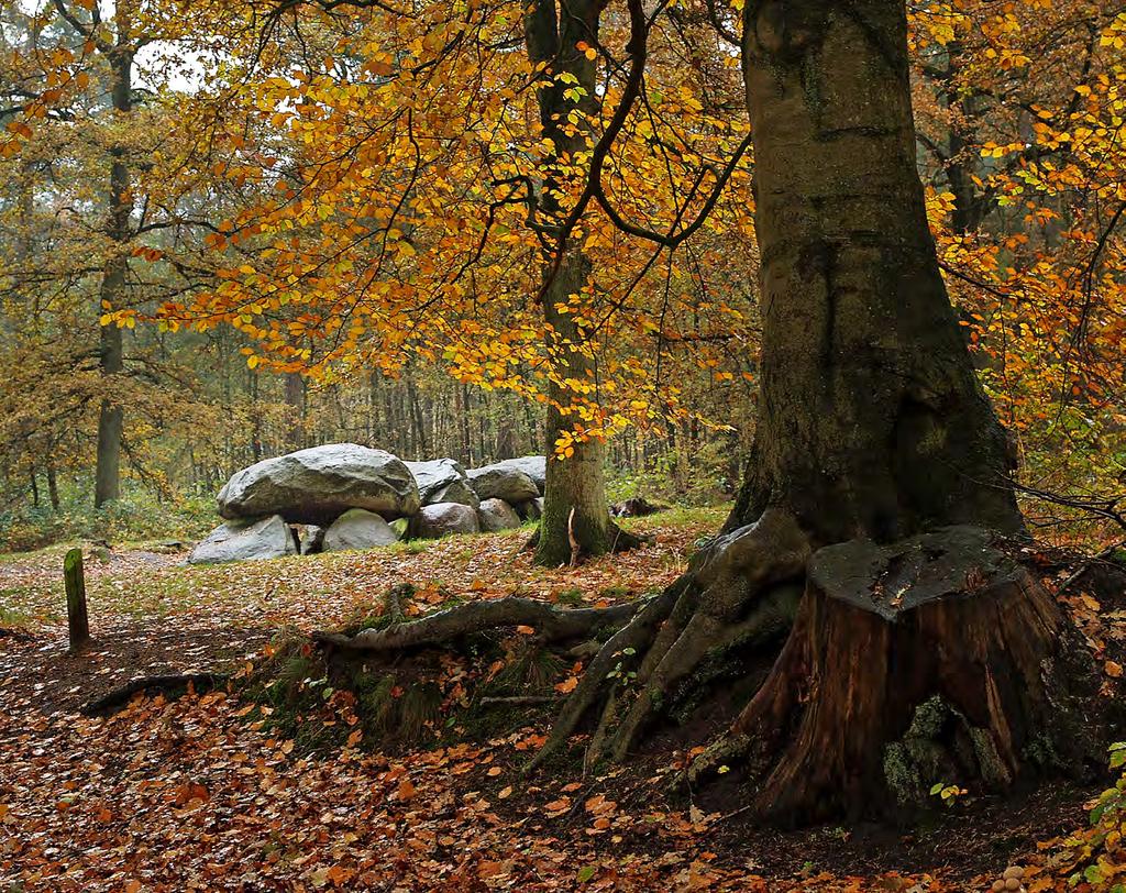 Schipborg, hunebed D7 en D8 Als je door het natuurgebied De Strubben van Schipborg naar Annen loopt, passeer je dit hunebed van bijna negen meter lang.