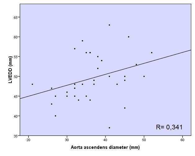 Lengte, gewicht en BSA blijken sterk positief gecorreleerd te zijn met de grootte van de diameter ter hoogte van de annulus, sinus en aortaboog.