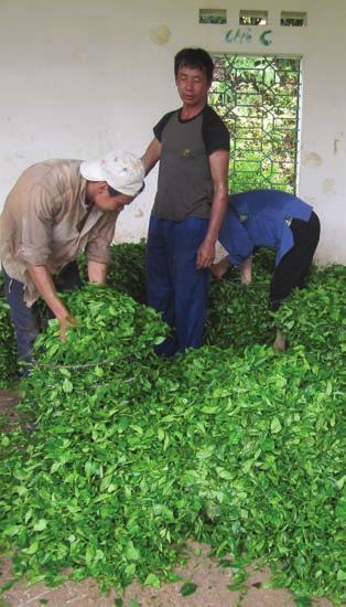 Er wordt onder meer samengewerkt met Homeveg (een Tanzaniaanse handelaar), wiens medewerkers de boeren ondersteunen om goede landbouwtechnieken toe te passen, vooral bij de oogst en