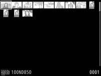 Miniatuurweergave Druk, om meerdere beelden te bekijken, op de W (M)-knop wanneer een foto schermvullend wordt weergegeven.