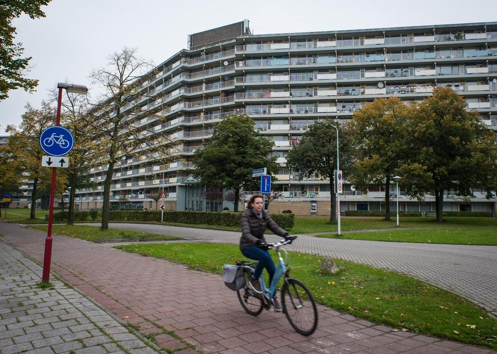 Ontwikkeling van de leefbaarheid in