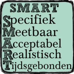 Formuleren van leerdoelen Specifiek: Wie, wat, waar, wanneer? Meetbaar: getallen, eenheden, procedures, normen Acceptabel/actiegericht: aanvaardbaar?