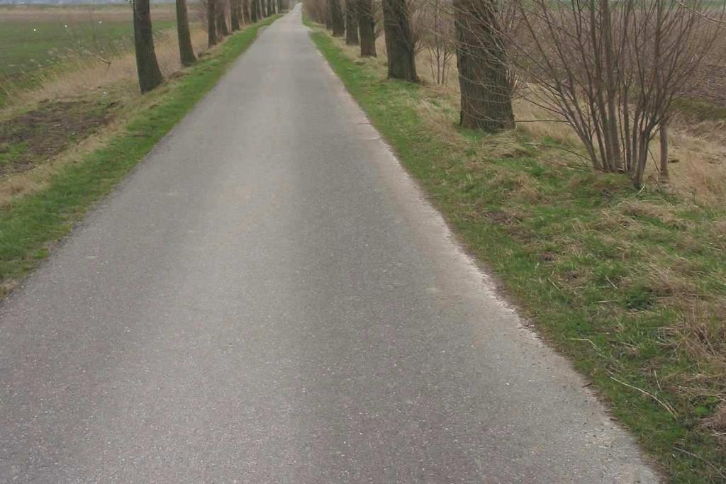 In de jonge polders zijn verspreid tussen de akkers boomgaarden te vinden waar omheen een hoge elzenhaag staat. Daarnaast zijn er nog kleinschalige kascomplexen.