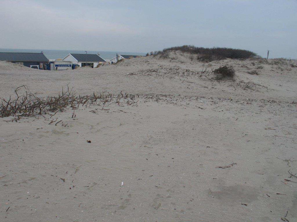 Terreingedeelten ten zuiden van de Rivierkant liggen op voldoende grote afstand (> 300 m). Verder landinwaarts zijn de duinen relatief dicht begroeid resp.