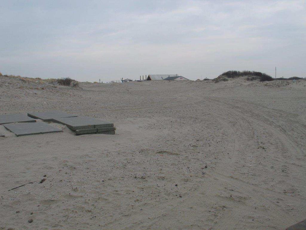 Landinwaarts zijn alleen een paar topjes begroeid met struweel; iets verder landinwaarts (tot de parkeerplaats) zijn meer struwelen aanwezig, met daartussen bijna alleen maar kaal zand.